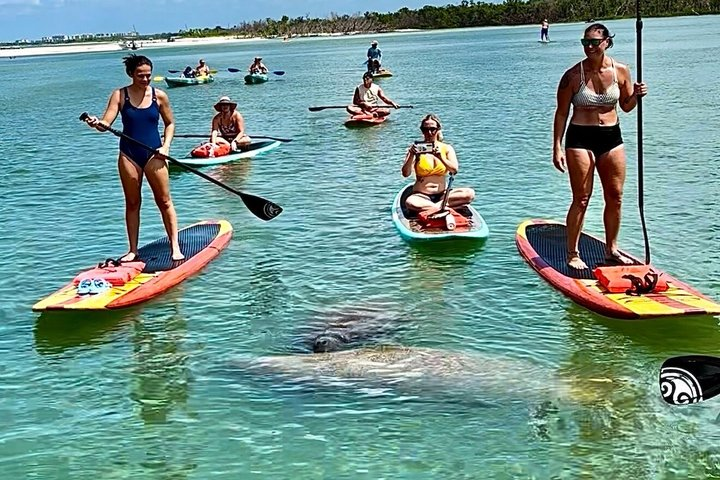 Daytona Beach Dolphin & Manatee Kayak Wildlife Adventure - Photo 1 of 12